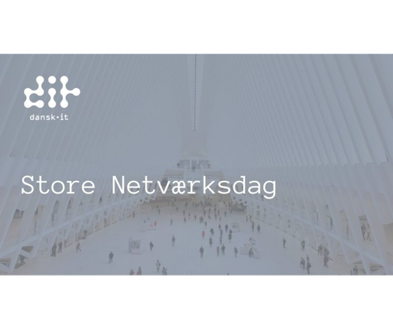 Store Netværksdag